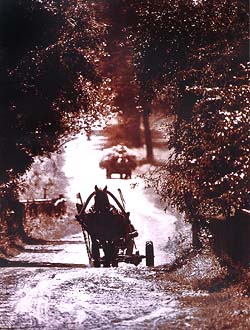 MISTRZOWIE POLSKIEGO PEJZAŻU - FOTOGRAFIA -  