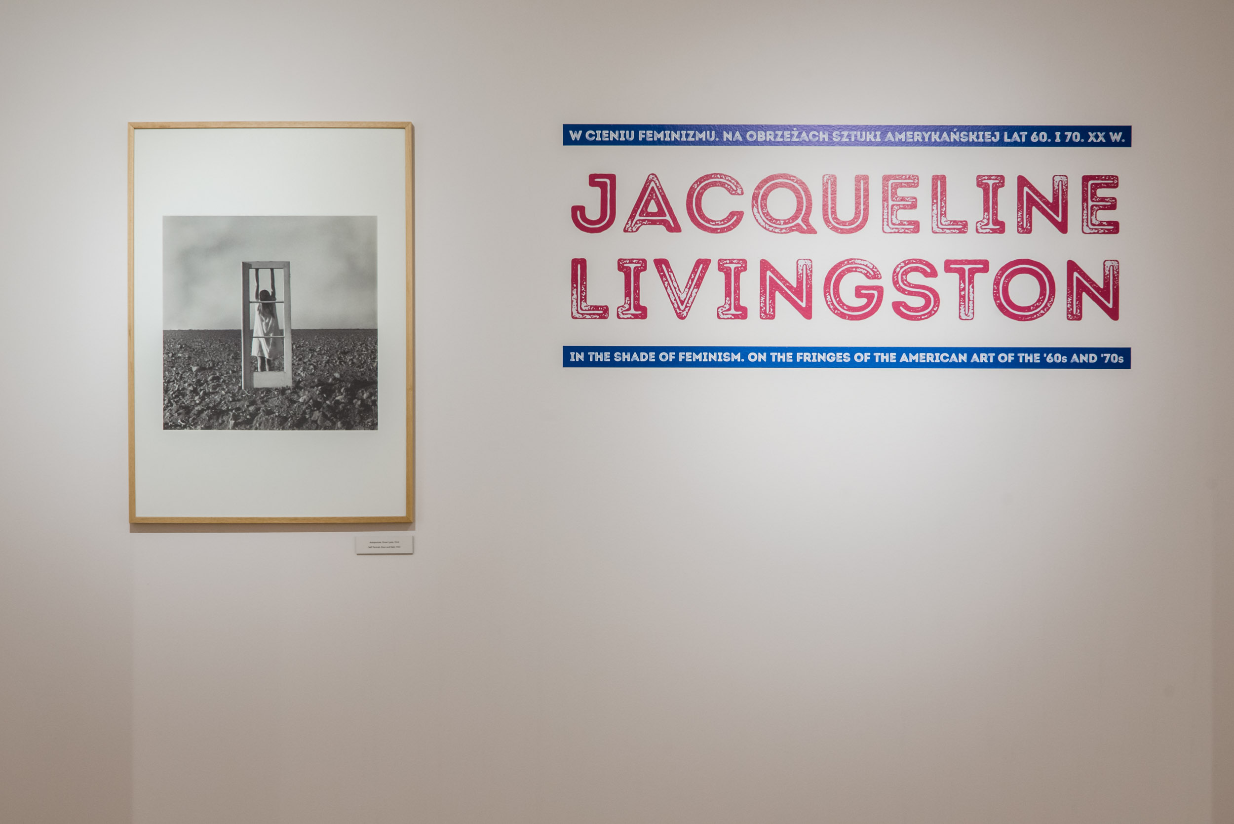 JACQUELINE LIVINGSTON. W CIENIU FEMINIZMU. NA OBRZEŻACH SZTUKI AMERYKAŃSKIEJ LAT 60. I 70. W. -  Jacqueline Livingston