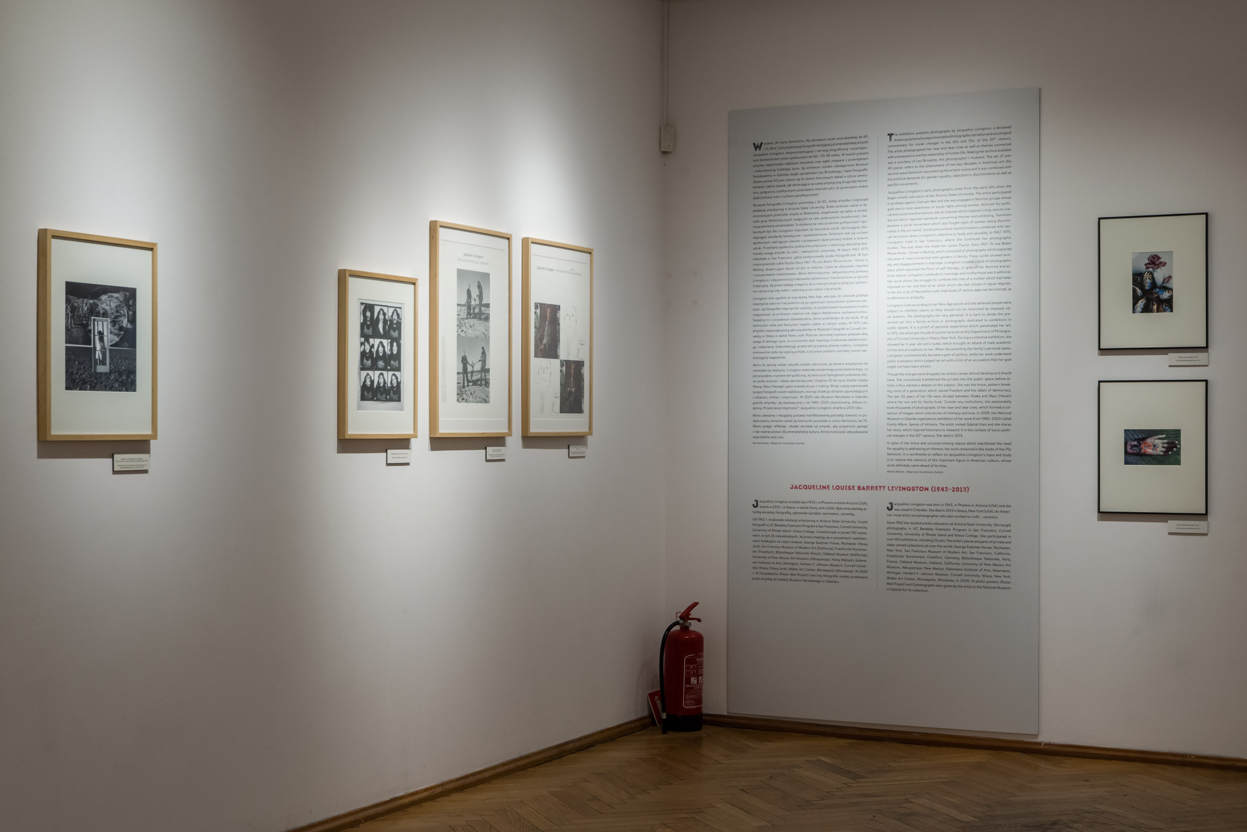JACQUELINE LIVINGSTON. W CIENIU FEMINIZMU. NA OBRZEŻACH SZTUKI AMERYKAŃSKIEJ LAT 60. I 70. W. -  Jacqueline Livingston