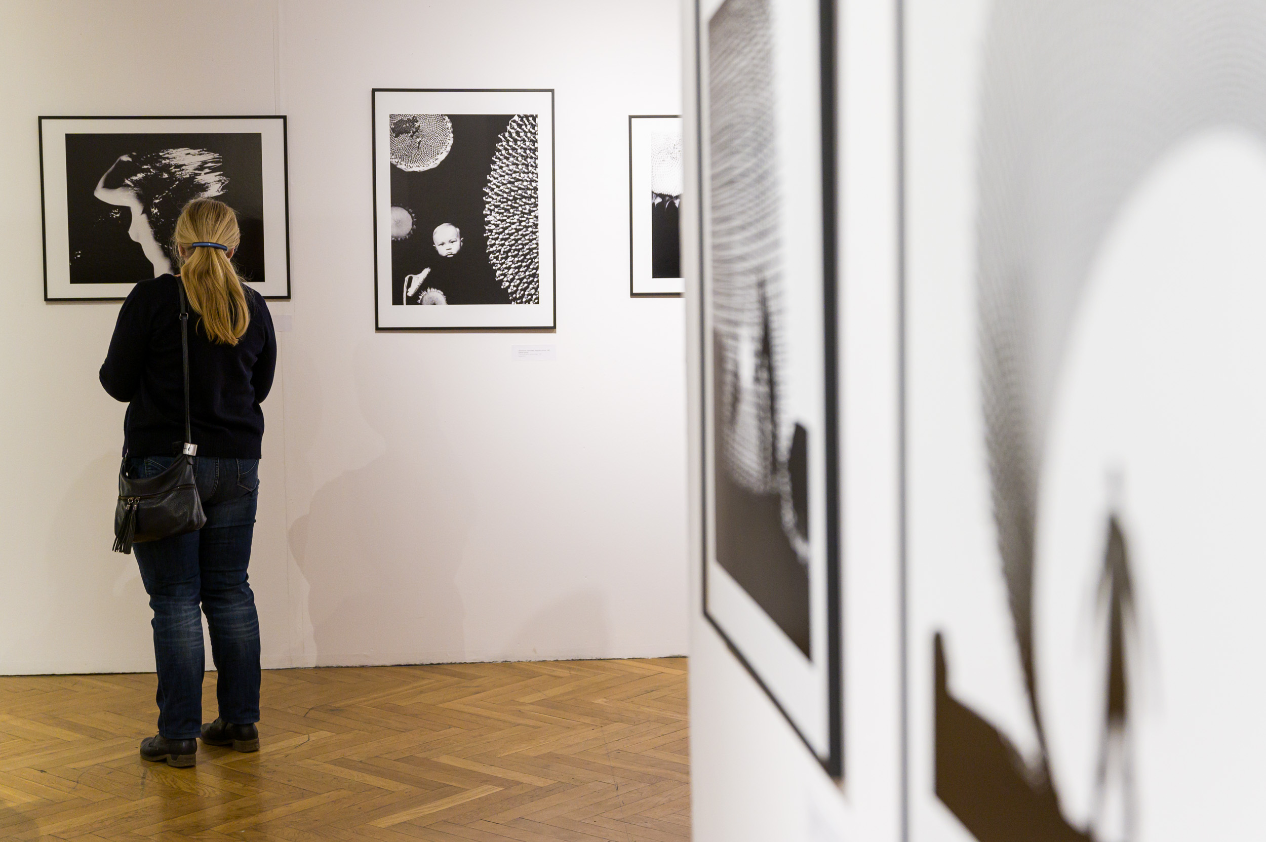 FOTOGRAFIA -  Paweł Pierściński