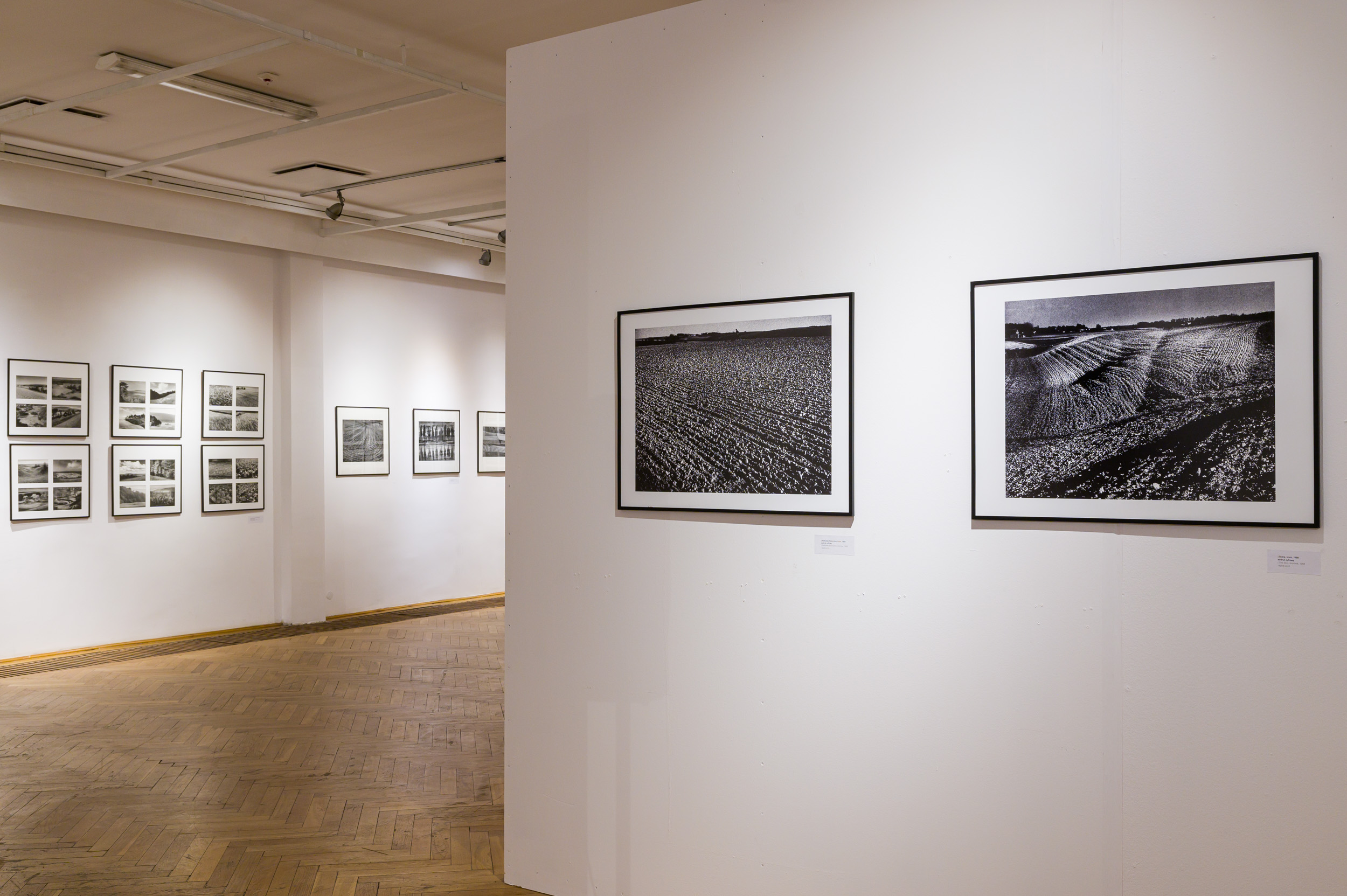 FOTOGRAFIA -  Paweł Pierściński