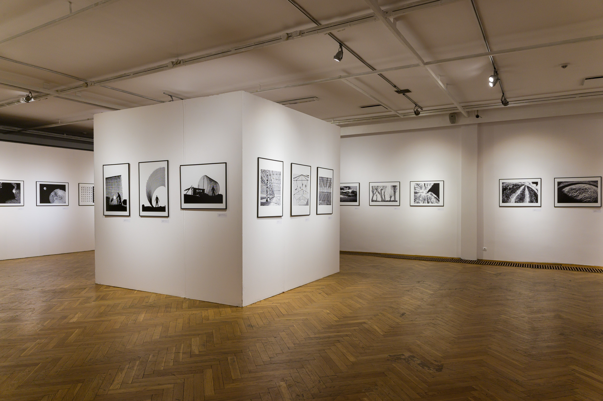 FOTOGRAFIA -  Paweł Pierściński